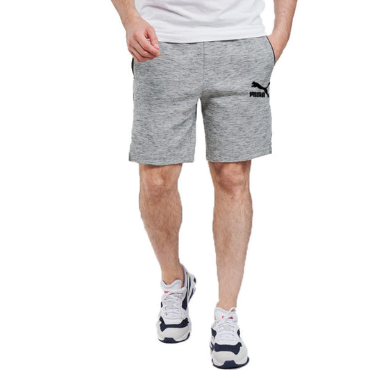 PUMA EvoTec Shorts Grey