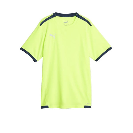 PUMA TeamLiga DryCell Football Tee Green